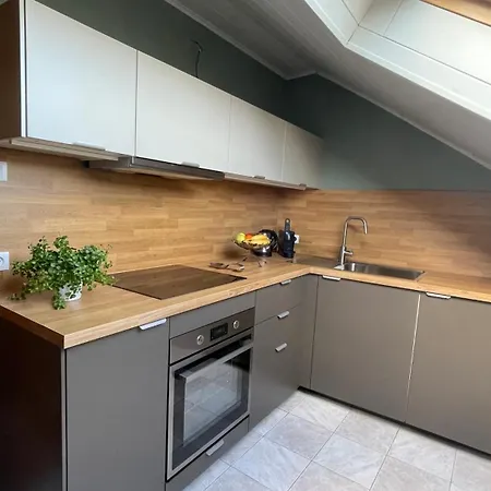 Entier, Calme, Confortable Et Spacieux Apartment
