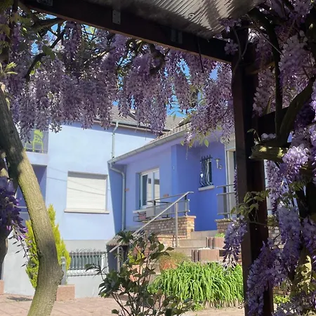 Entier, Calme, Confortable Et Spacieux Gundershoffen