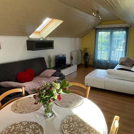 Entier, Calme, Confortable Et Spacieux Gundershoffen